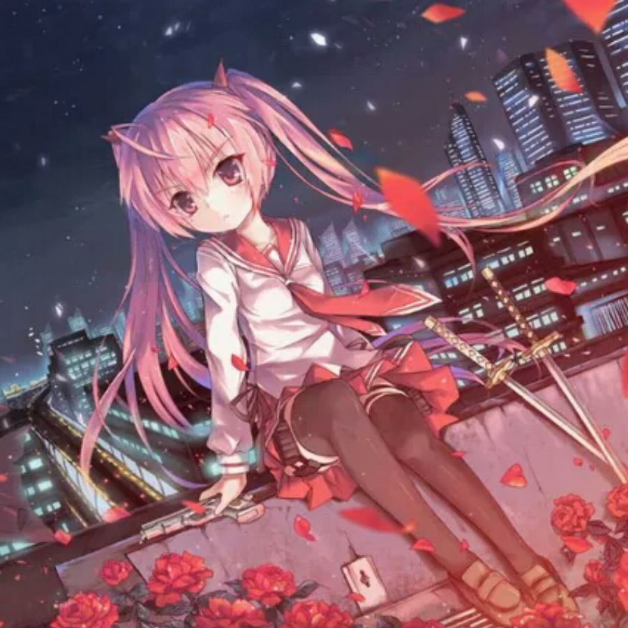 绯月