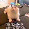 过客