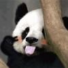 说散就散了.
