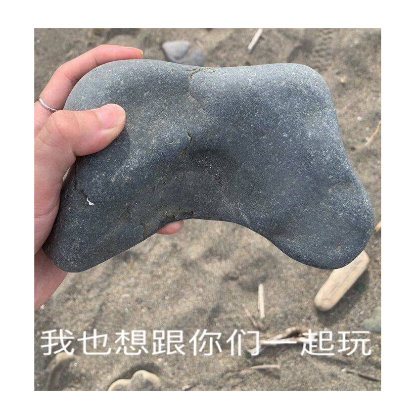 我也想跟你们一起玩