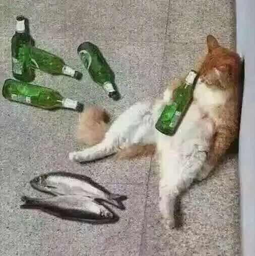 摆了