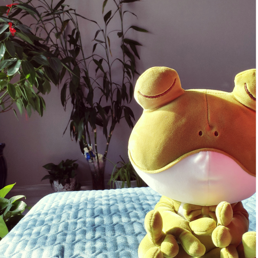 海盗桑