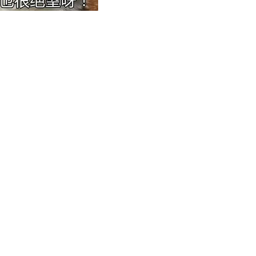 金槿花