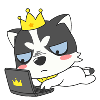 Software Dog