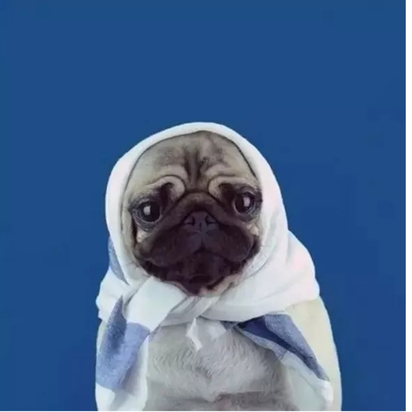 浮沉莫浅忆