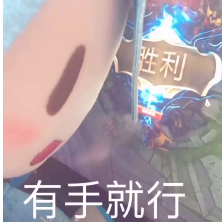 白爻尾鸢.