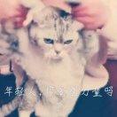 骑灬士℡