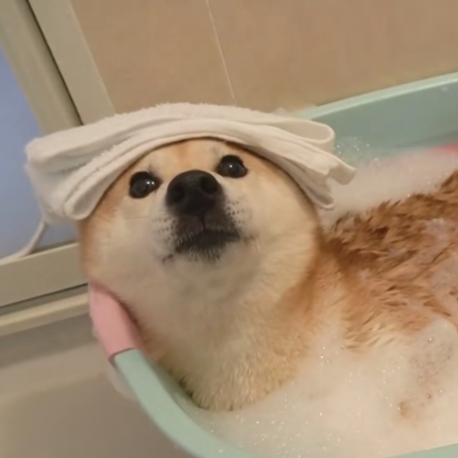 洛洛洛