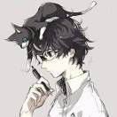 无轲
