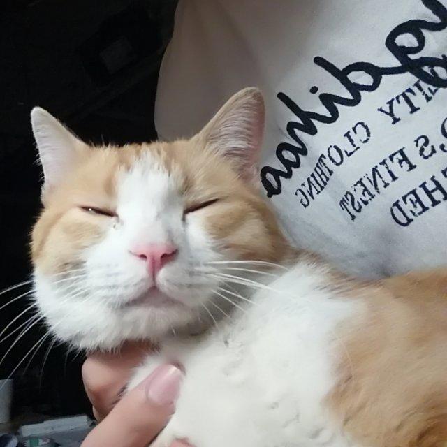 陈晓冬