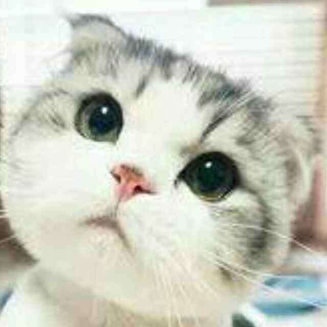 一人独卧