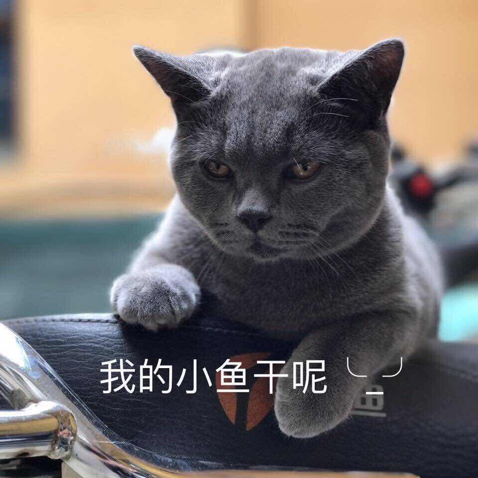 yy