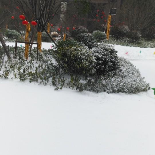 独钓寒江雪