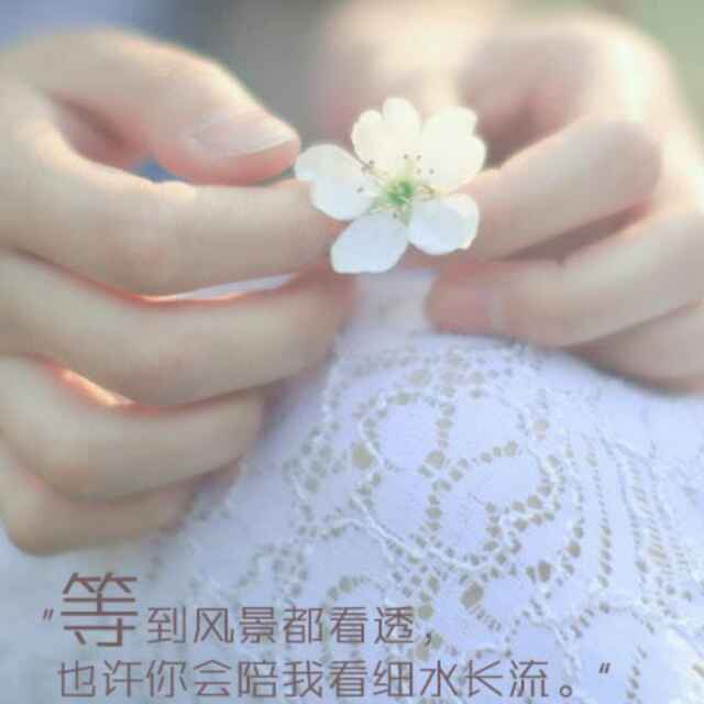 寒蝉飞羽