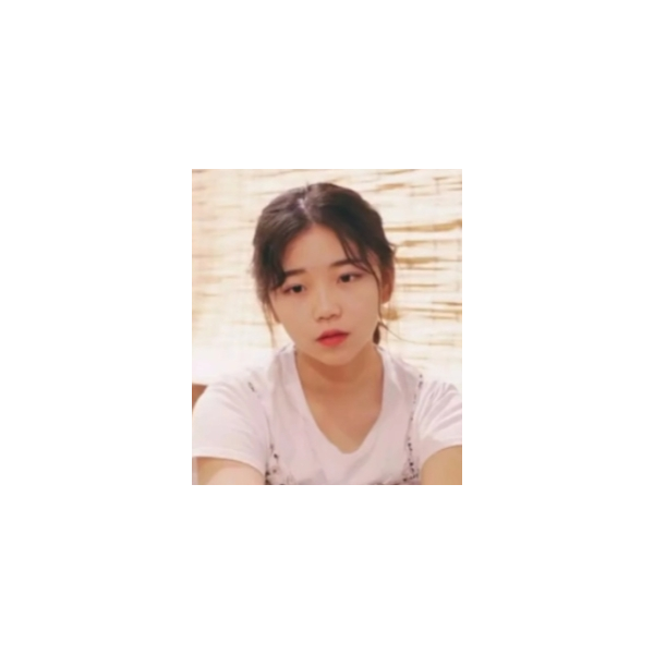 迪迦