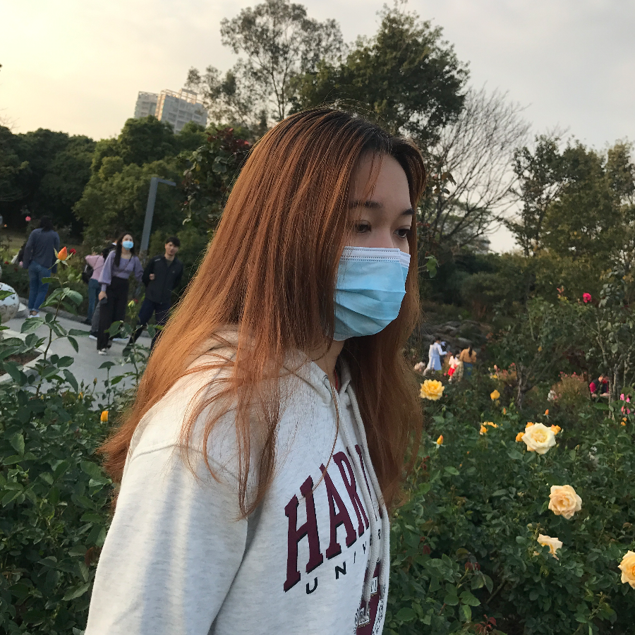 耗子药丸💊