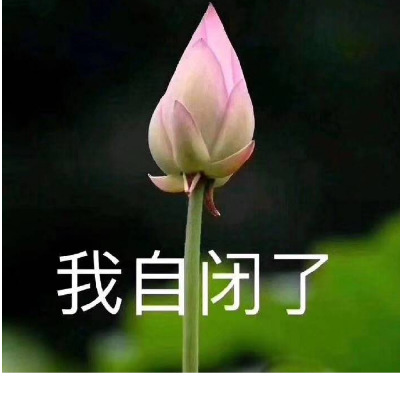 泽鹬