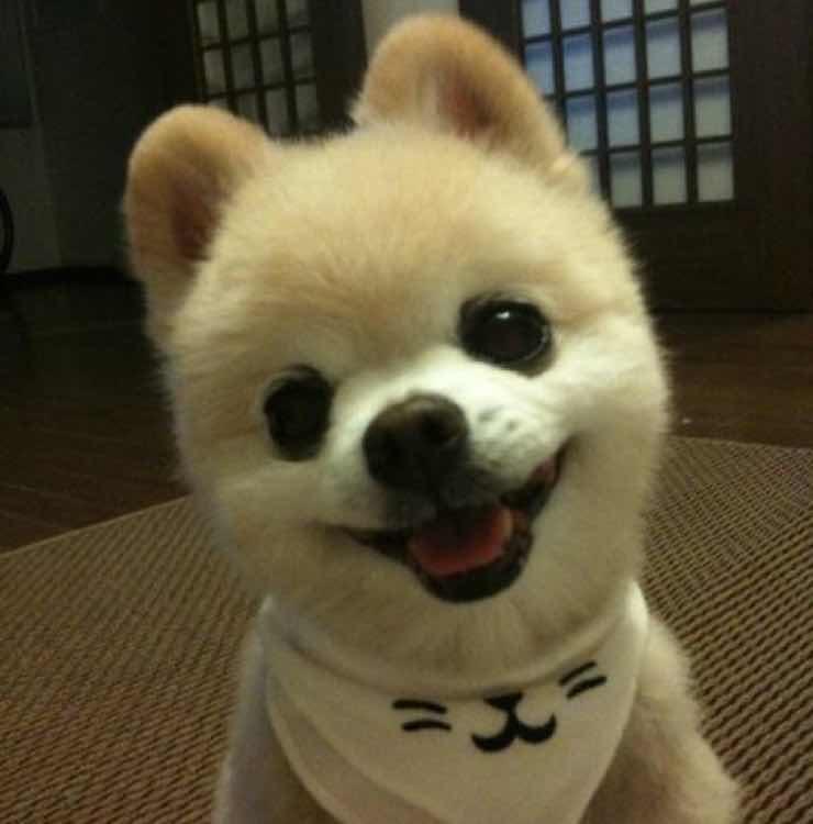 逍遥