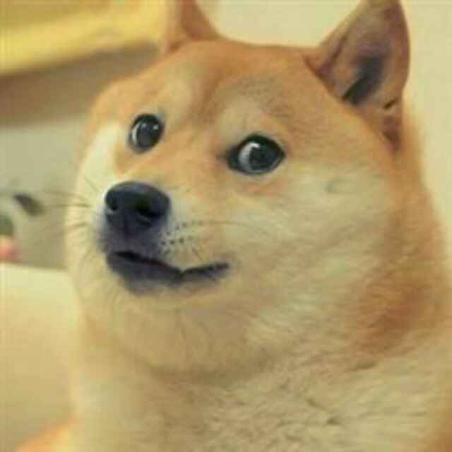 Yi