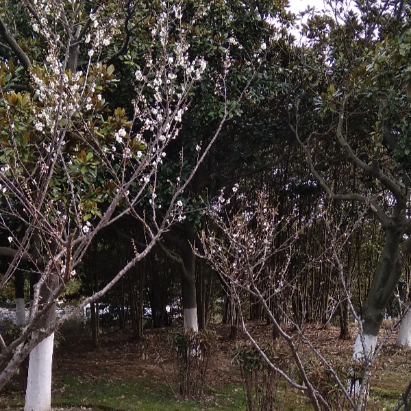 会画画的上色渣