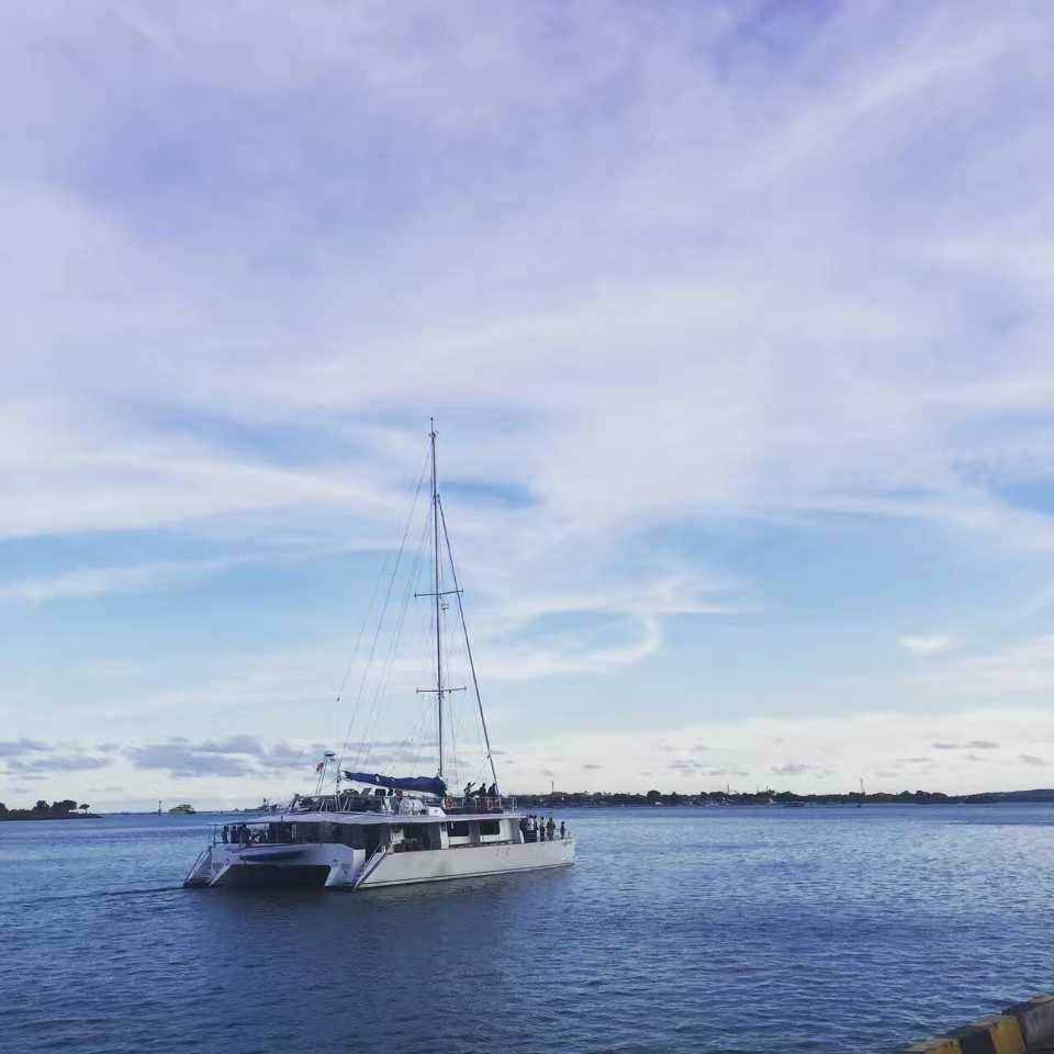 求荒野大大们赶紧配饰手机型号