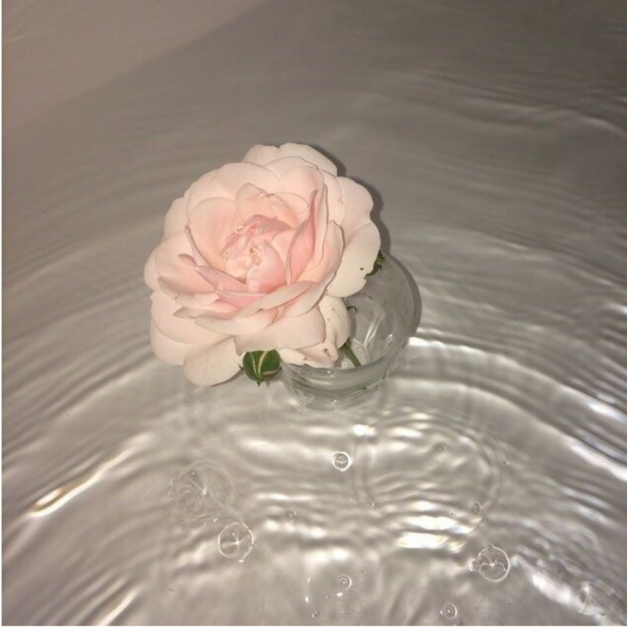 瑭薏.