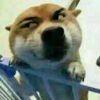 心动づ只在⒈瞬间