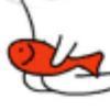 红鱼菌
