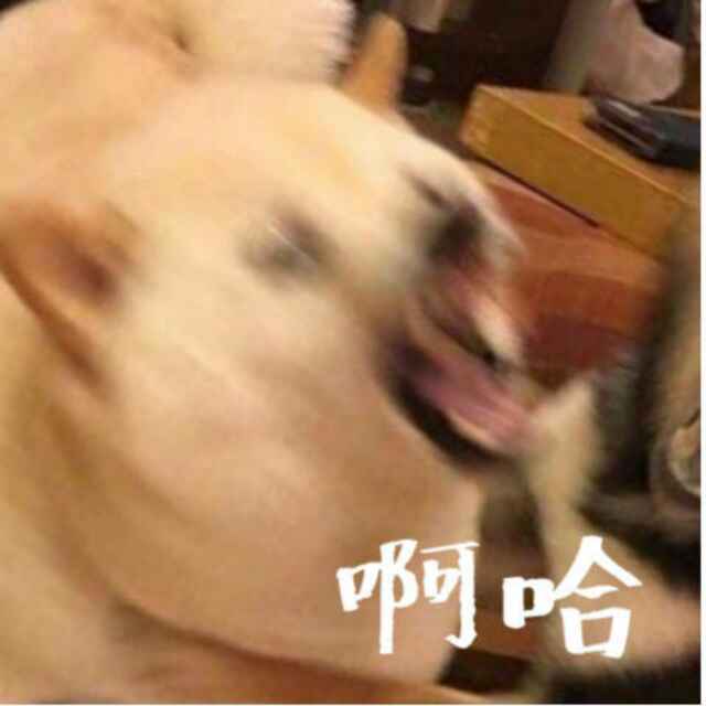 丸丸
