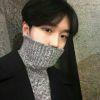 구마모토 곰