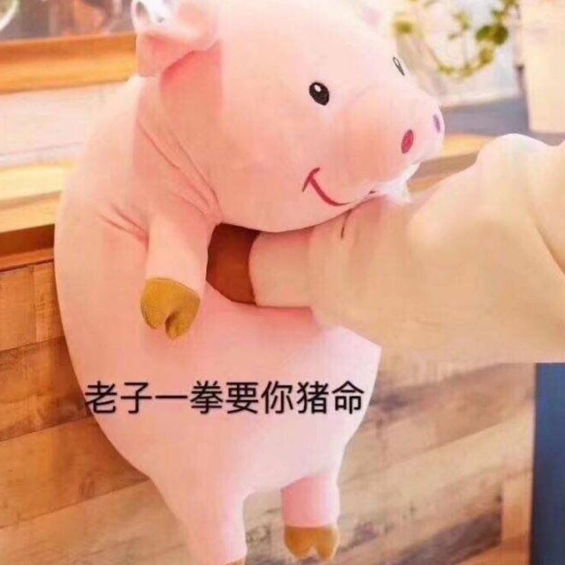 新野小流星🌟