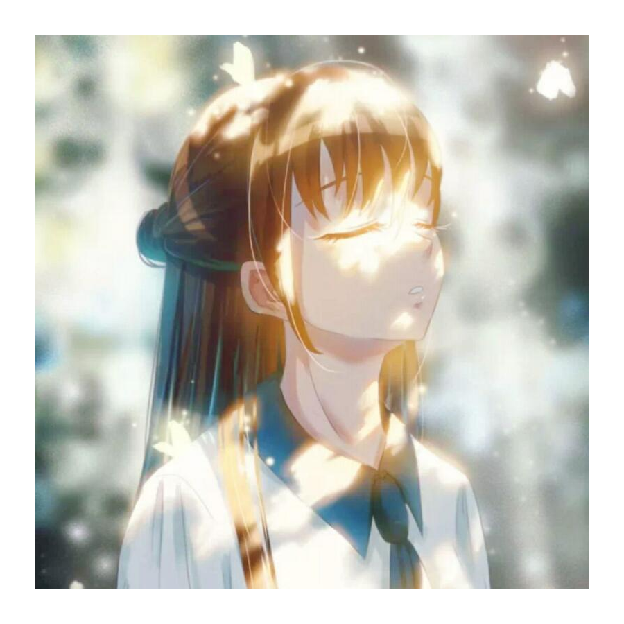 毛毛