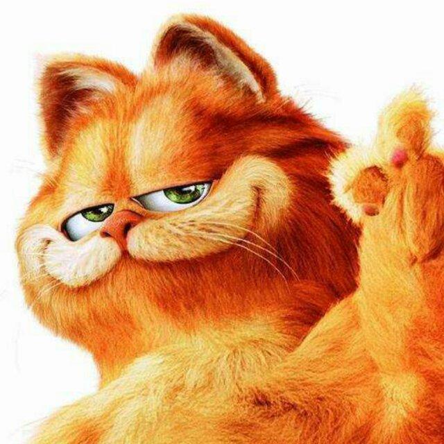 GARFIELD