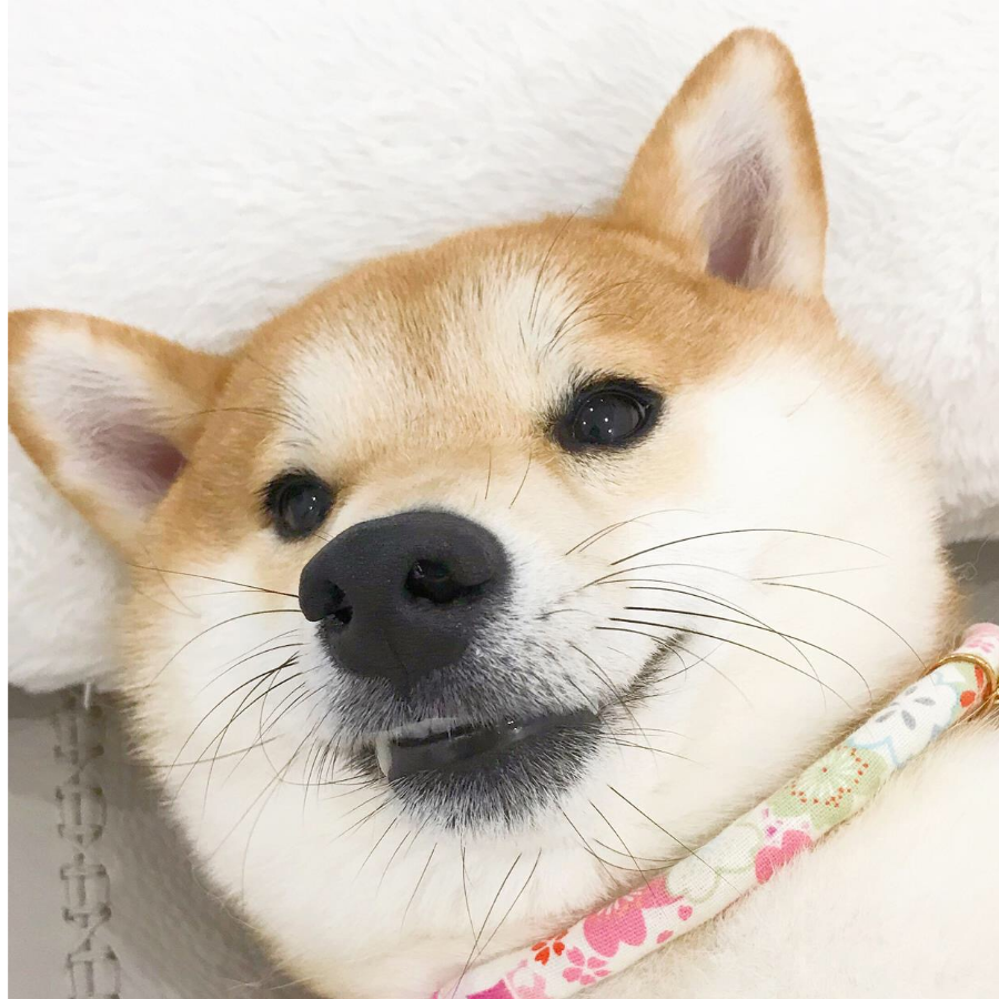 给你一个大嘴巴子