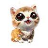 User36547624