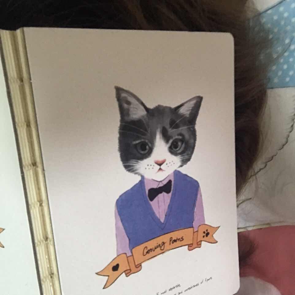 Lucida🌟Beauty🎀