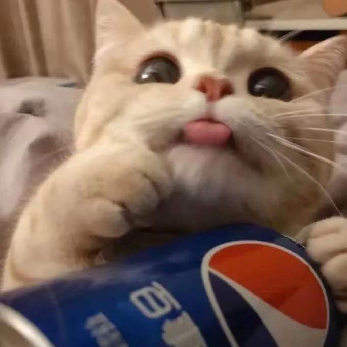 嘟嘟嘟