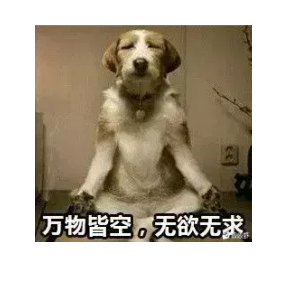 狸猫换太子