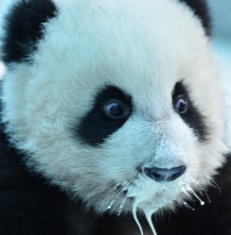 Arena of Valor: 5v5 Arena Game