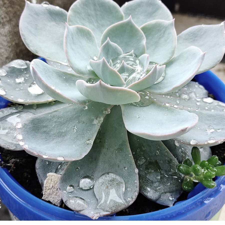 温克大大啊
