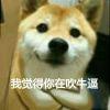。低调