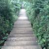 路