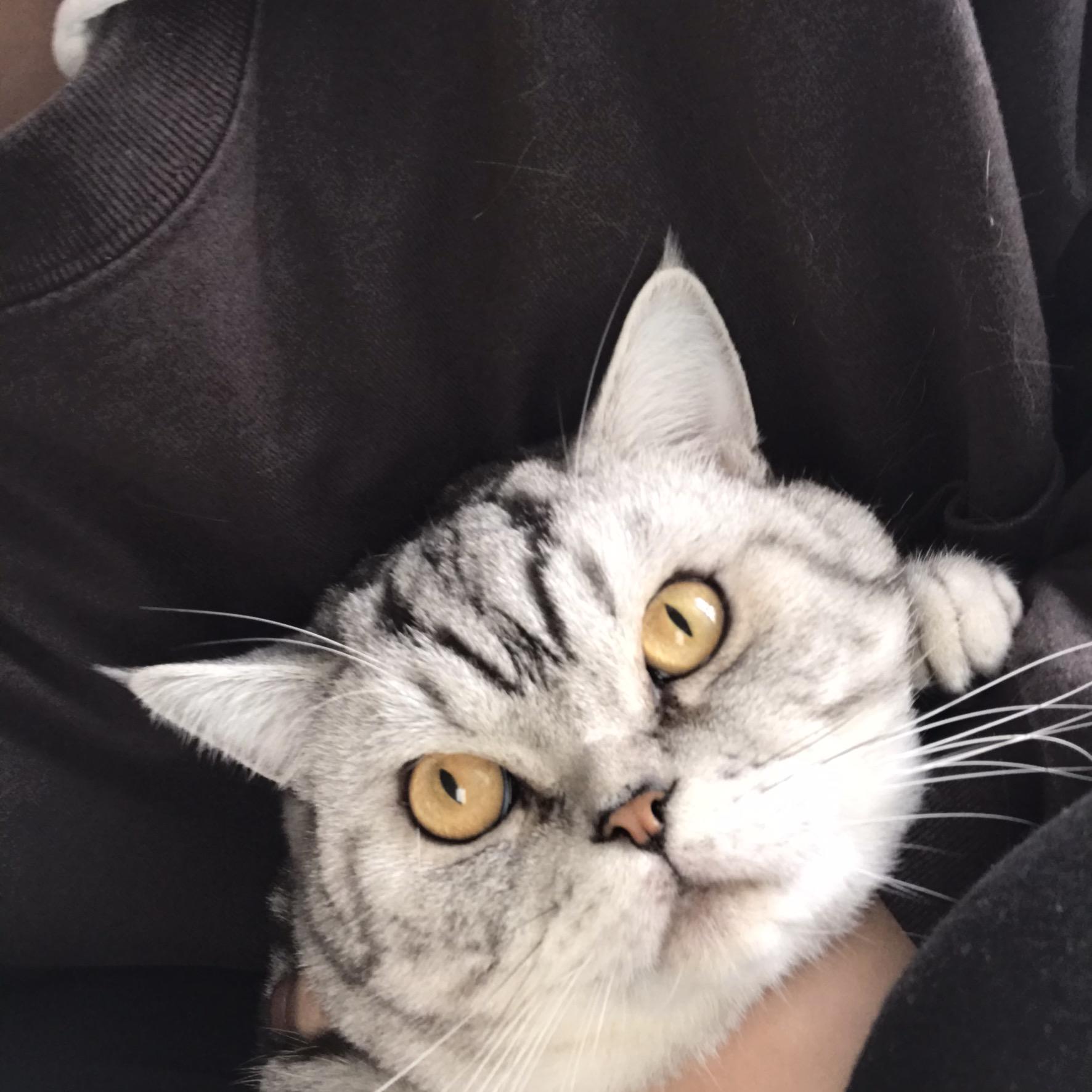 三十