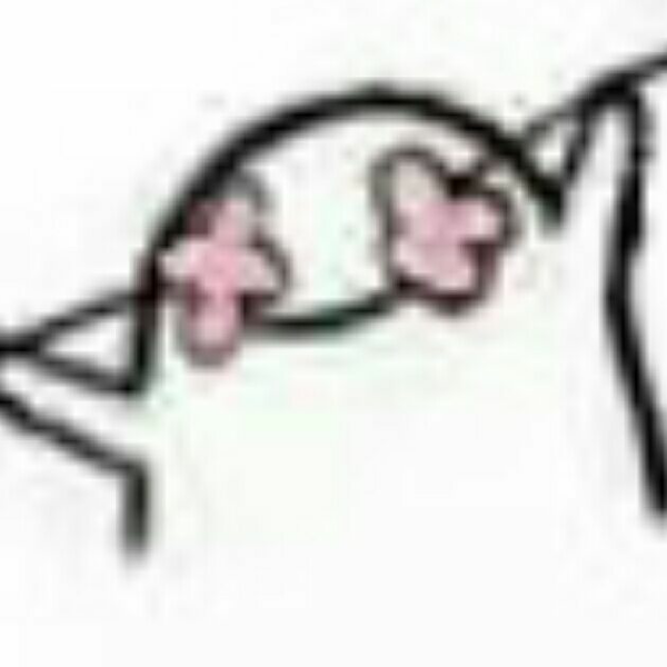 google play更新太慢啊