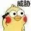 停风听雨