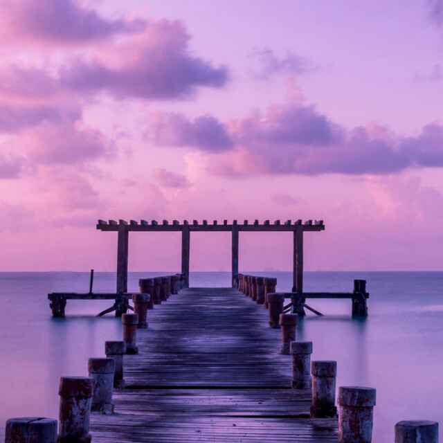 不染红尘自风流