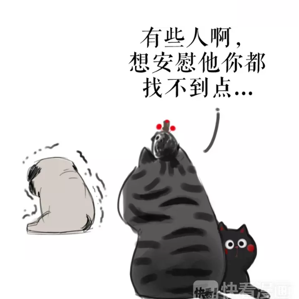 我的名字叫什么