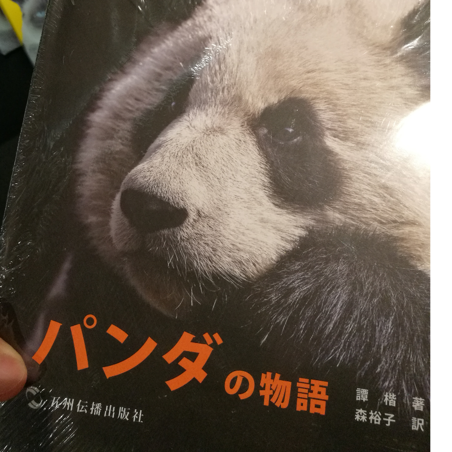 月下的海豚