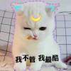 给岁月以文明