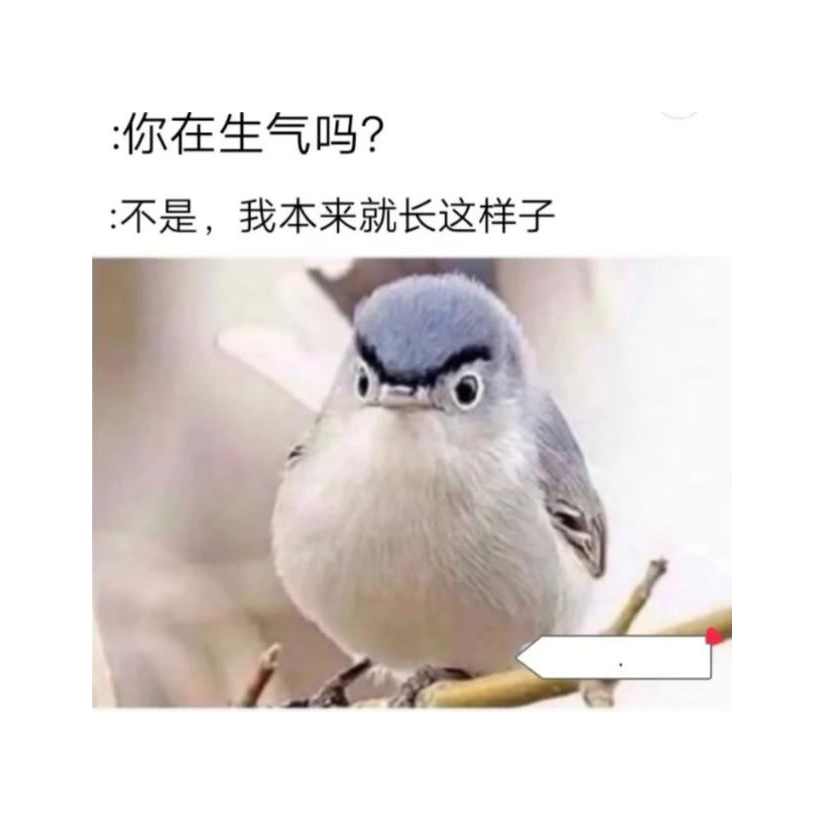 我欲成仙